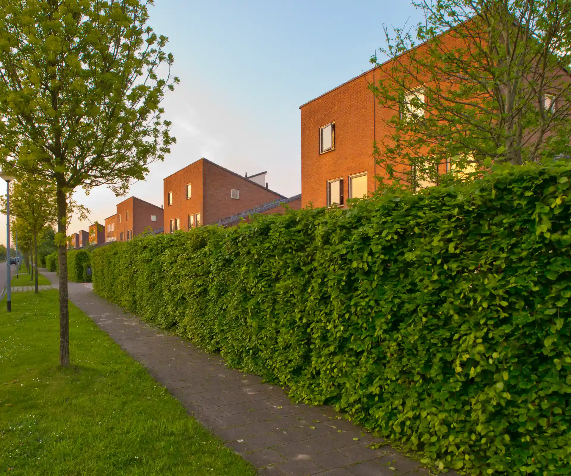 Hæk og moderne boligområde i et roligt boligområde med grønne omgivelser i Horsens.