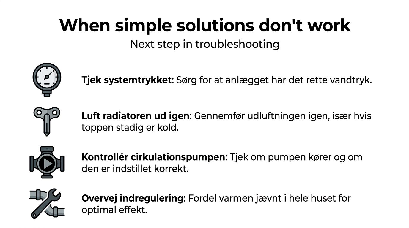 Horsens - Få hjælp til radiatorproblemer og termostat reparation.